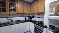 Euro-Asia Park (D13), Condominium #521860091